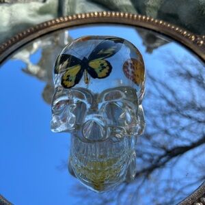 butterfly and flower skull